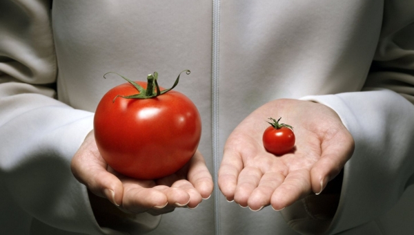 เปิดโลกการดัดแปลงพันธุ์พืชและสัตว์